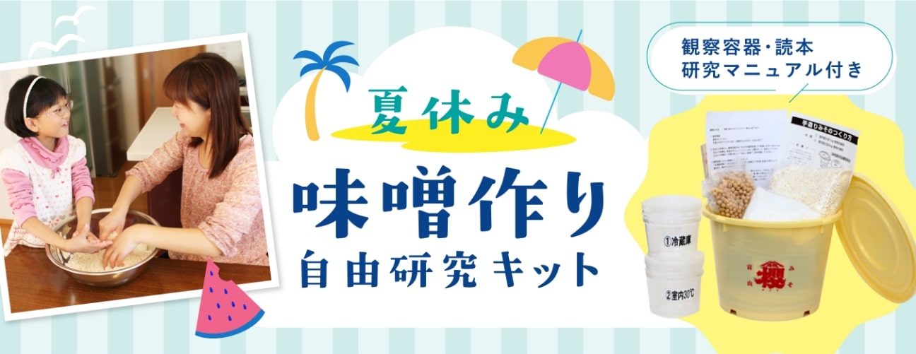 夏休み味噌作りキット